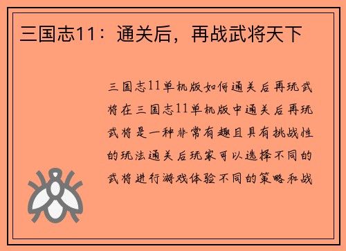 三国志11：通关后，再战武将天下